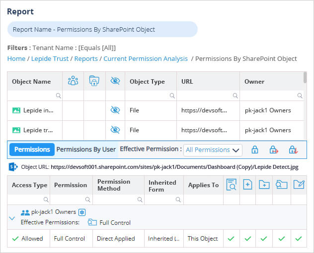 the Permissions by SharePoint Object report